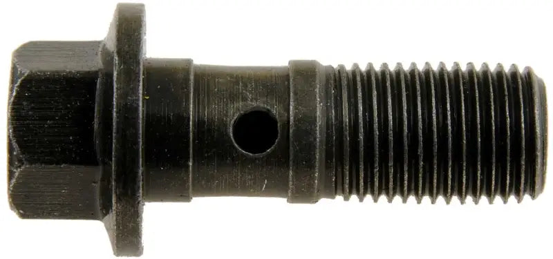 13912 Banjo Bolt