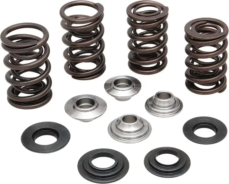 20-20060 Spring Kit/.650 Lift/ Harley Davidson/ Twin Cam - Valve Kit