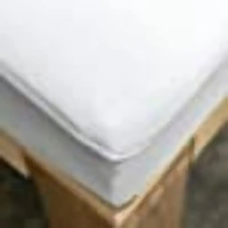 2020218503 Lippert Comp Thomas Payne Mattress Protector