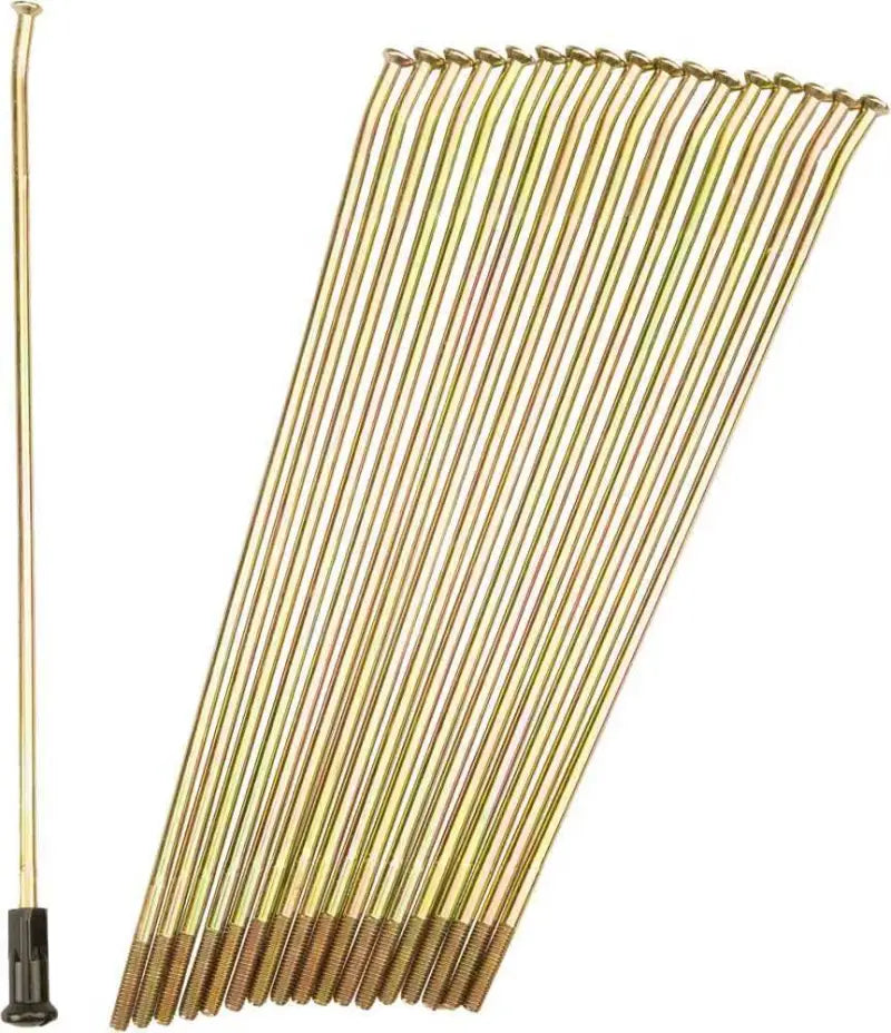 21-G230230-2 Double Butted Spokes Gold/Black Front 21" 36/Pk