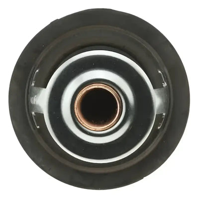 243-195 Motor Rad Am Thermostat