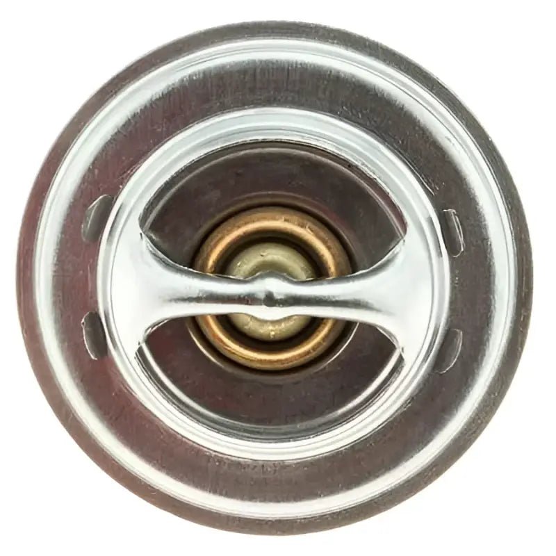 304-198 Thermostat
