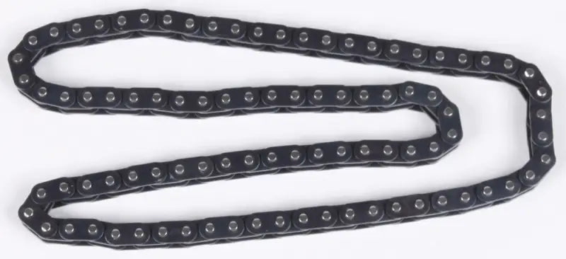 31.2487 Cam Chain