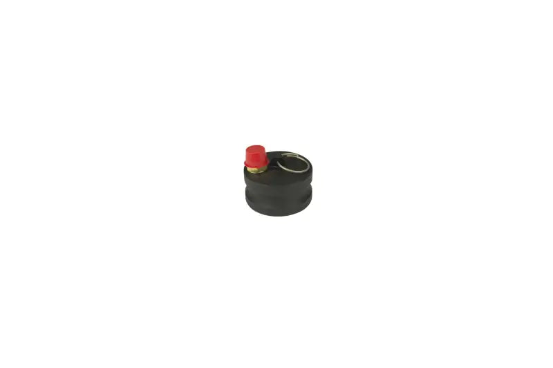 360788 Sewer Cap
