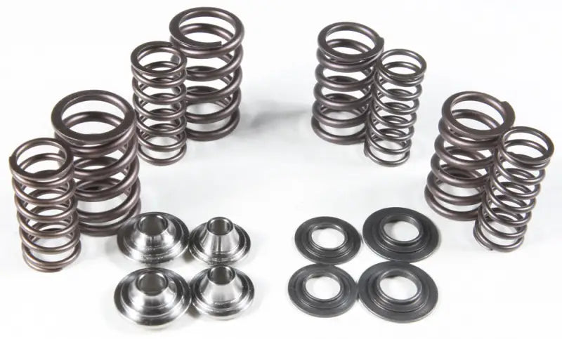 80-80900 Racing Valve Spring Kit