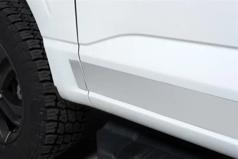 9751471 Putco Stainless Rocker Panels Fits; 2021