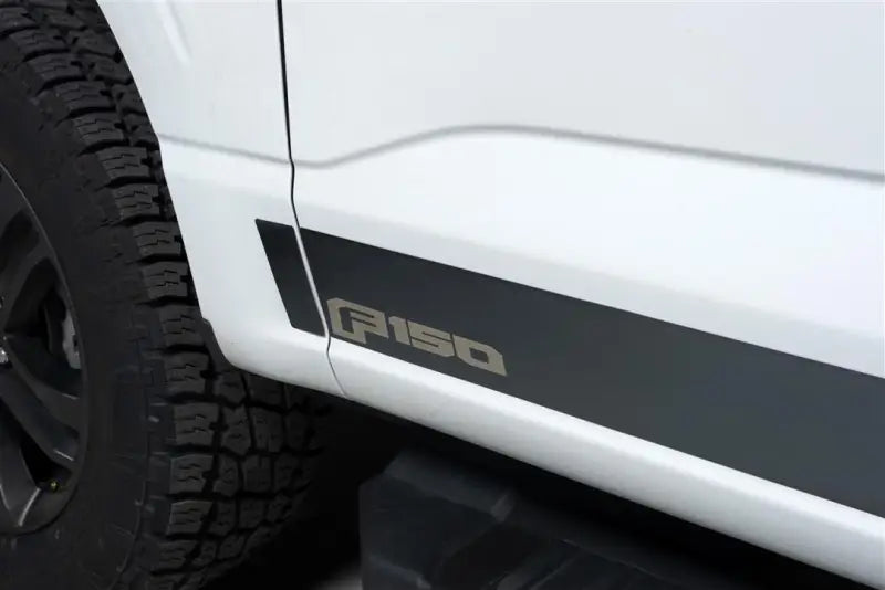 9751474BPFD Putco Ford Lic. Ss Rocker Panels Fits; 20