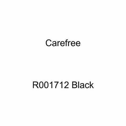 R001862 Awning Motor