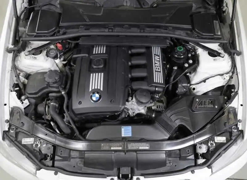 AEM Induction 21-841DS