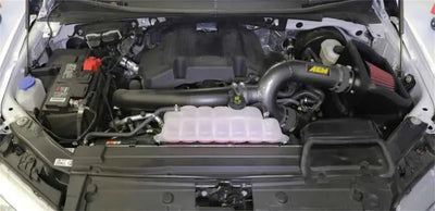 AEM 17-18 Ford F-150 3.5L V6 F/I Gunmetal Gray Cold Air Intake 