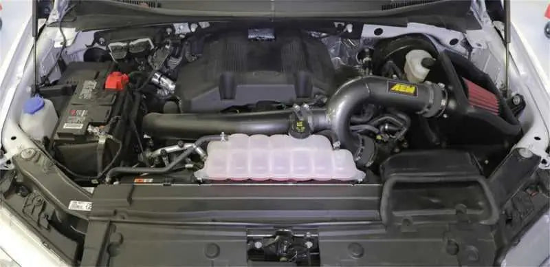 AEM 17-18 Ford F-150 3.5L V6 F/I Gunmetal Gray Cold Air Intake 