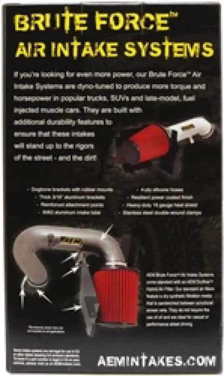 AEM Induction 21-2029BF