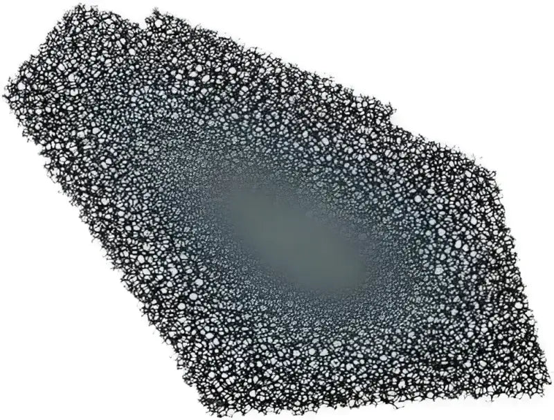 SP1 SM-07551