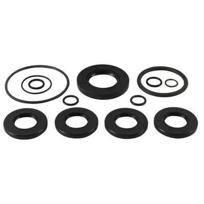 Assorted black rubber seals and O-rings in All Balls 25-7110 Transmission Seal Kit for repair