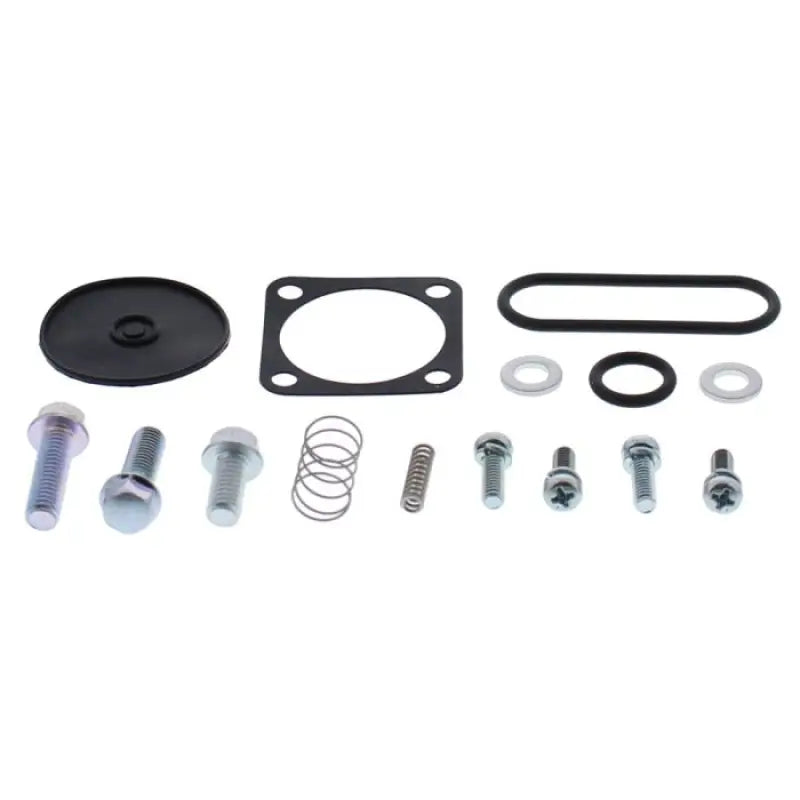 All Balls 60-1309 Diaphragm Repair Kit