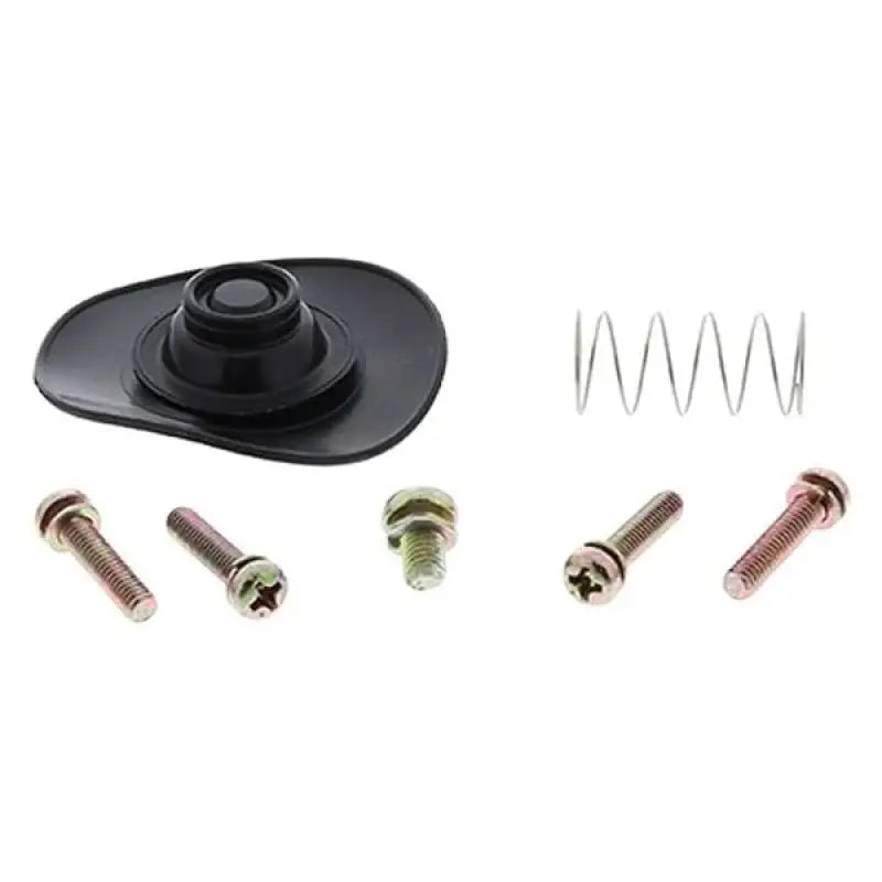 All Balls 60-1310 Diaphragm Repair Kit