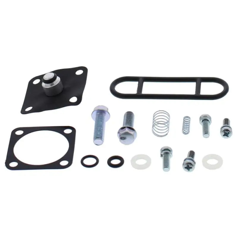 All Balls 60-1310 Diaphragm Repair Kit
