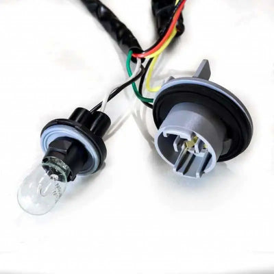 AlphaRex 640013