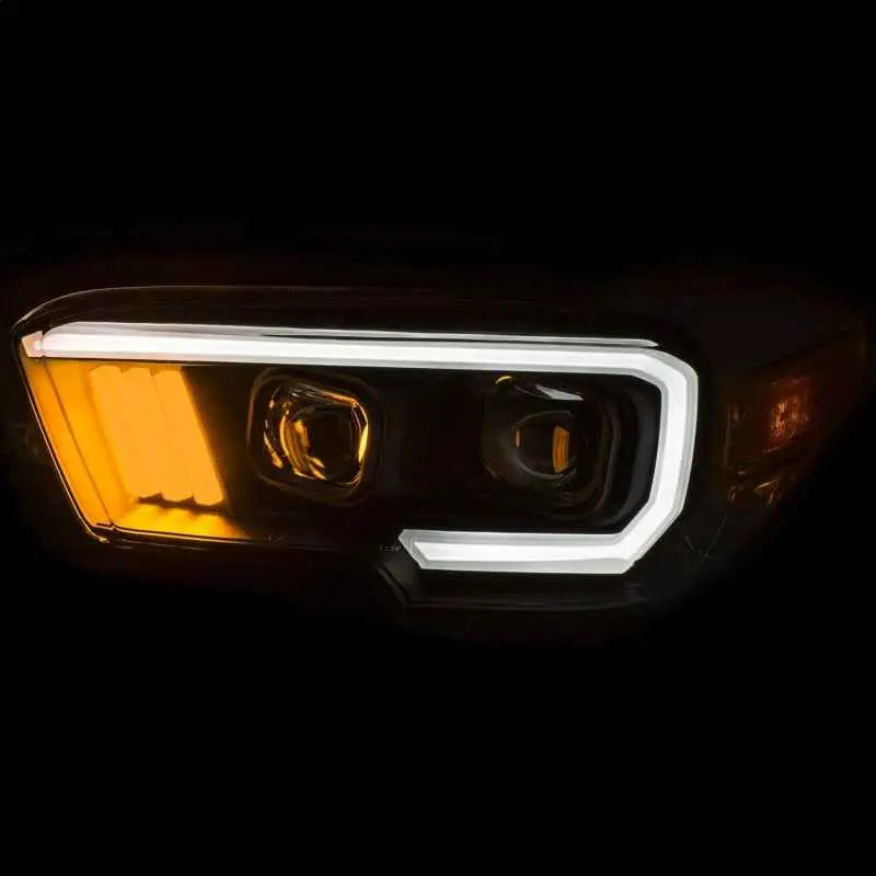 ANZO 111377