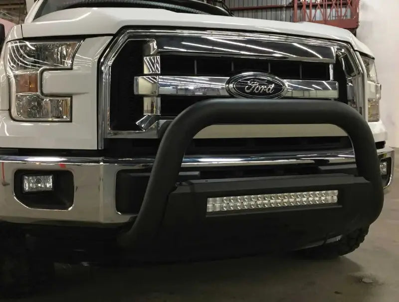 B1607B Bull Bar
