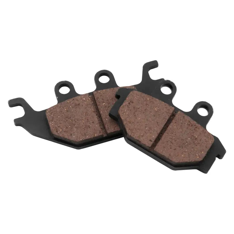 Two BikeMaster Arctic Cat brake pads for Arctic Cat motorcycles, high quality brake parts
