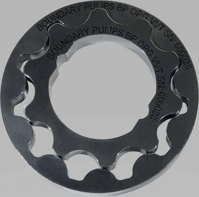 Boundary BP-OPG-VVT