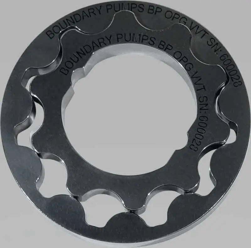 Boundary BP-OPG-VVT
