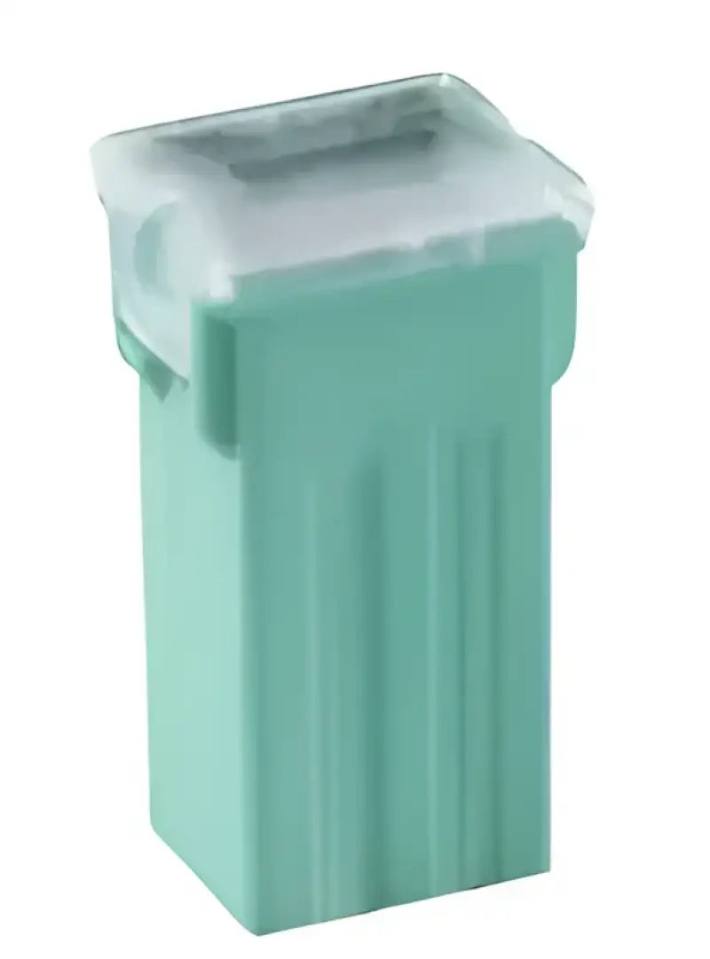 BP/FLS-40-RP Fuse
