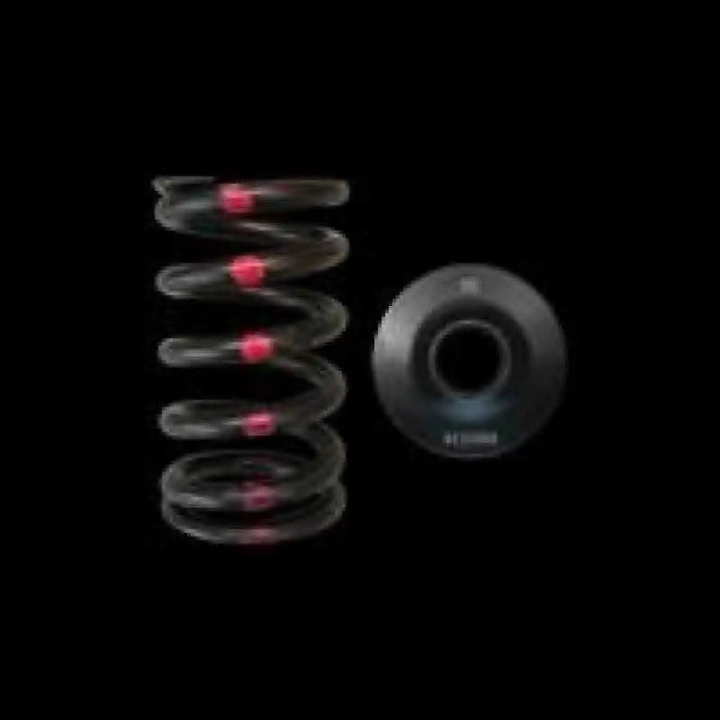 Brian Crower Brian Crower Nissan SR20DE/DET Single Spring & Steel Retainer Kit