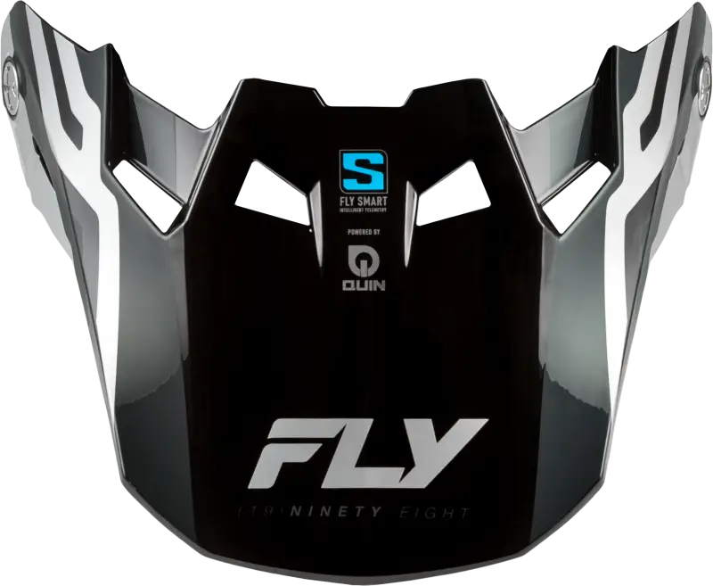 Formula S Carbon Byte Visor Black Carbon/Grey/Silver Yl/Sm - FLY RACING