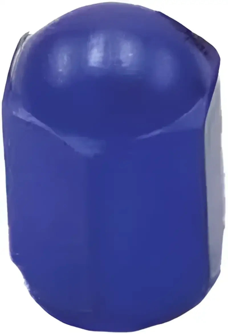 D58-03-102 Air Valve Caps Blue 2/Pk