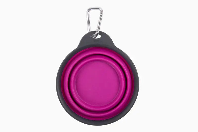 PW2004322405 Pet Dish