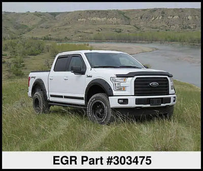 EGR 303475