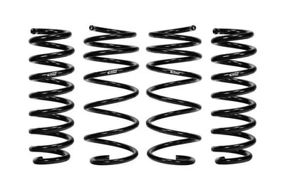 Eibach E10-201-004-01-22