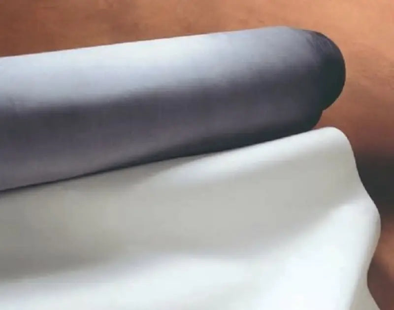 White Dicor EPDM RV Roof
