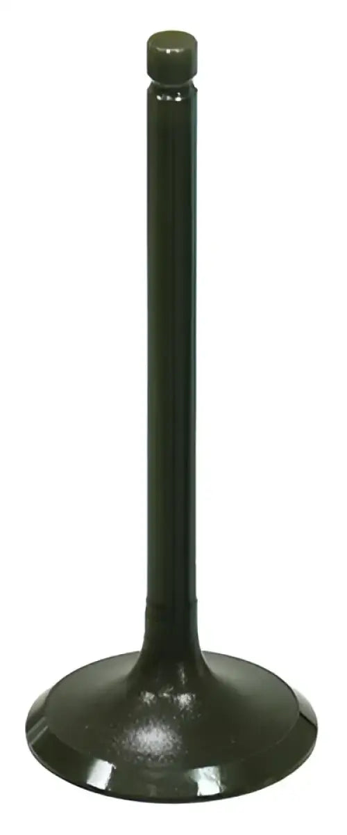 BRONCO Exhaust Valve for Powersports
