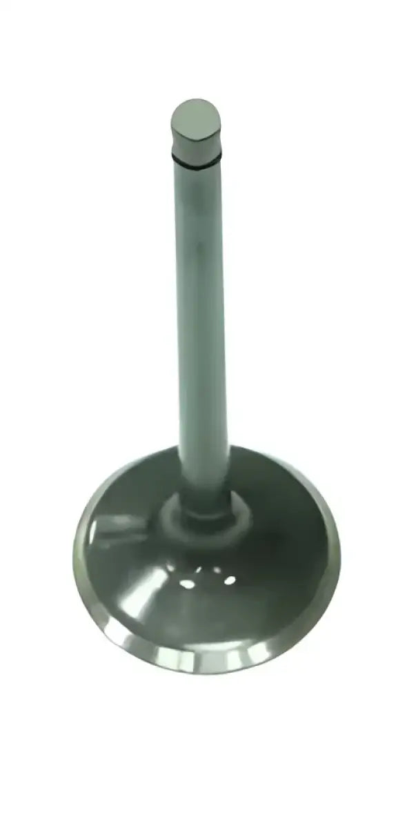 BRONCO Exhaust Valve for Powersports