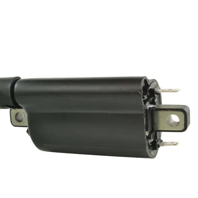 External Ignition Coil - RM STATOR
