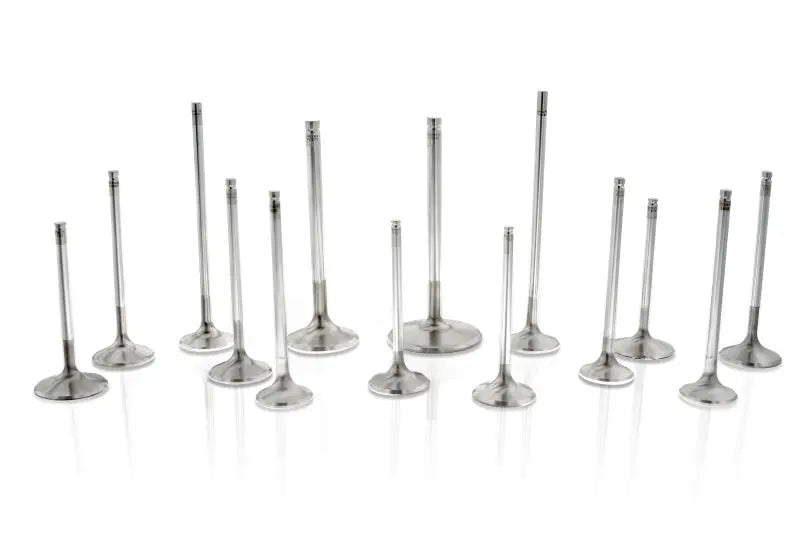 Ferrea 5/16 / 8mm.500in ID Viton Hi-Temp Exhaust/Intake Valve Stem Seal - Set of 16 - Truck & Automotive