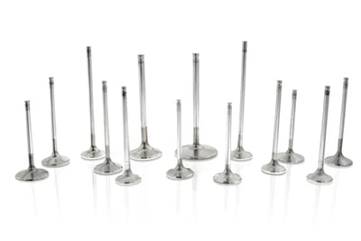 Shiny metal Ferrea Chevrolet LS7 hollow stem intake valves set of 8