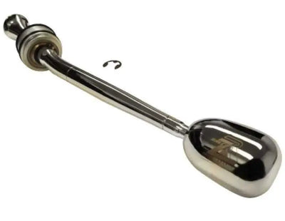 Fidanza 891831