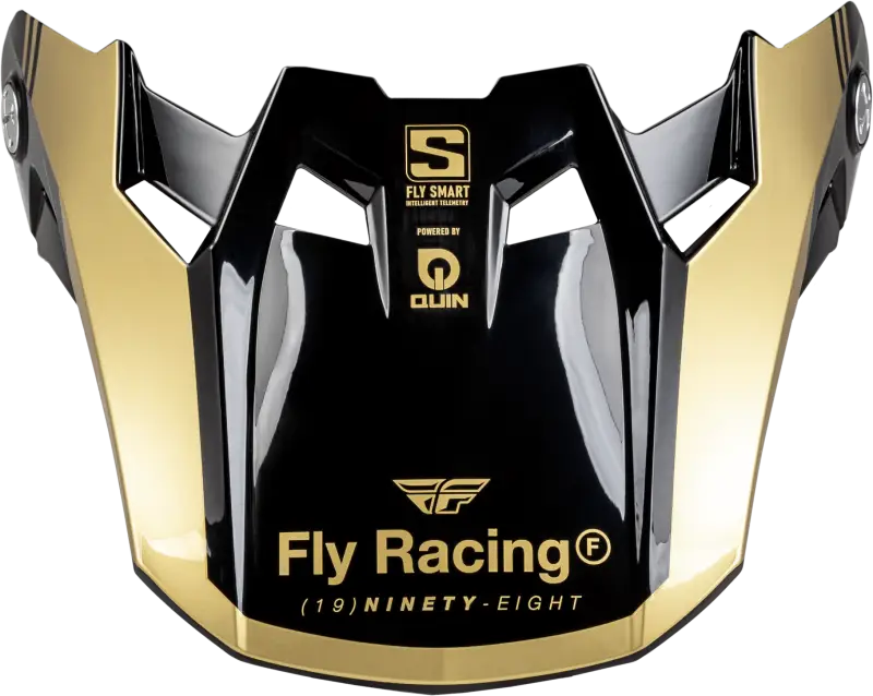 Formula S Carbon Legacy Visor Black/Gold Xl/2X