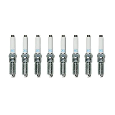 Ford Racing Performance 5.0L VDE Coyote Cold Spark Plug Set - Ignition