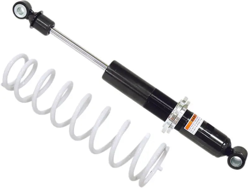 Gas Ski Shock W/Spring Pol 