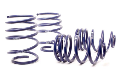 H&R 01-05 BMW 325Xi Sport Wagon E46 Spring - Truck & Automotive
