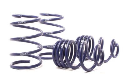 H&R 04-10 BMW X3 E83 Sport Spring - Truck & Automotive