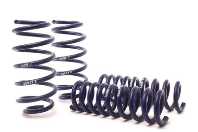 H&R 05-10 Chrysler 300 C LX Sport Spring (w/o Self-Leveling/Non AWD) - Truck & Automotive
