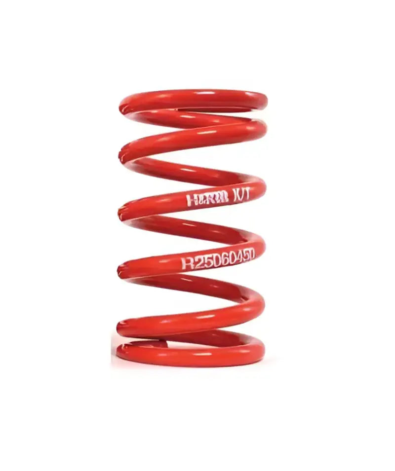 R25100100 Coil Spring