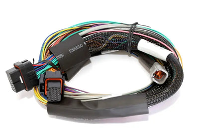 Haltech Elite 2500 ECU kit with 1980s-style wiring harness