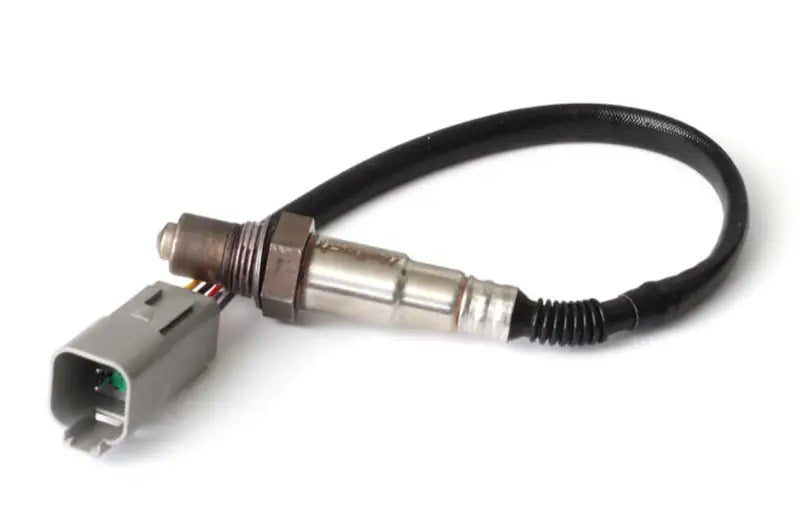 Haltech Wideband O2 Sensor (Bosch LSU 4.2) 